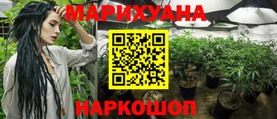 мдпв Пушкино