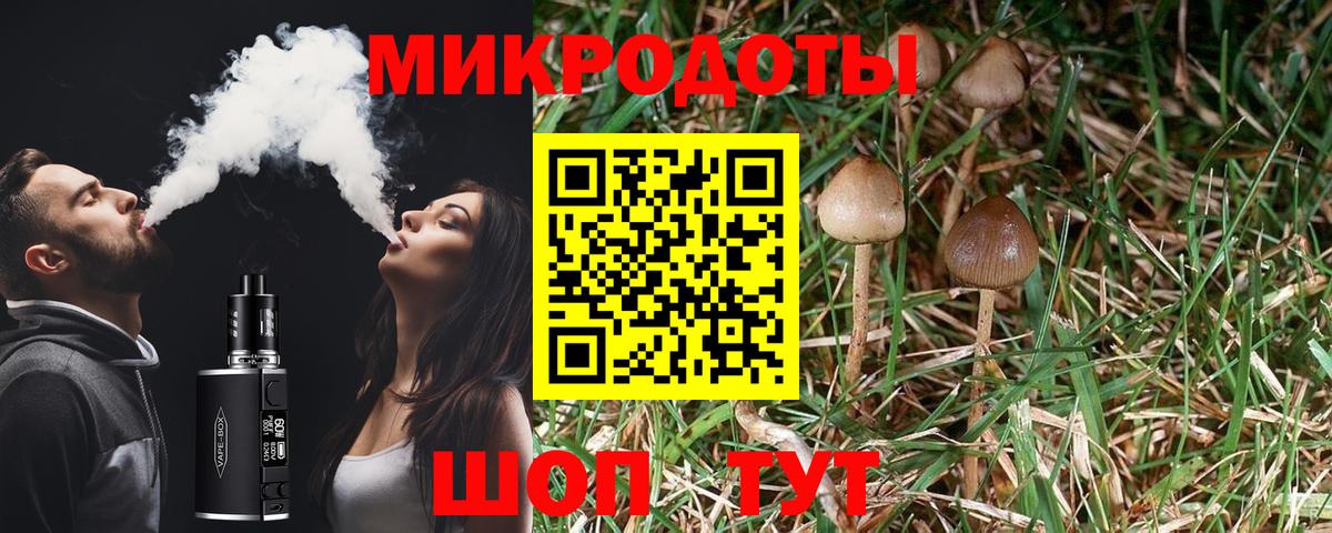 Псилоцибиновые грибы ЛСД  Вход с VPN  Новоалександровск  Псилоцибиновые грибы Magic Shrooms 